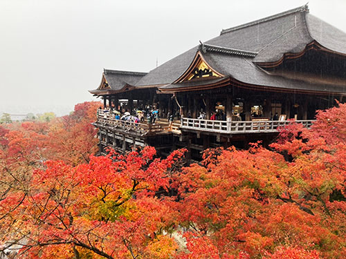 太平ツアーで行く「秋の京都　紅葉めぐり」
