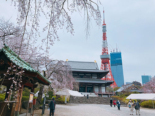 当社貸切バスツアー「太平ツアー」で行く　都内桜めぐり