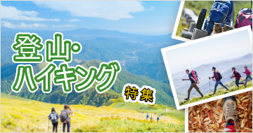 観光・社員旅行