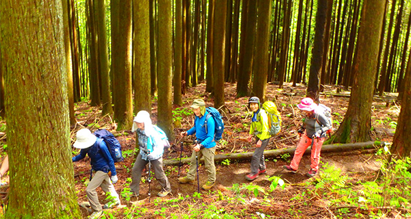 グループで登山・ハイキングに行くなら貸切バスがおすすめ!