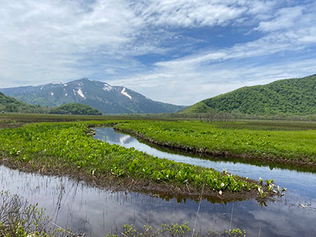 健康のためにもハイキングに行きませんか?